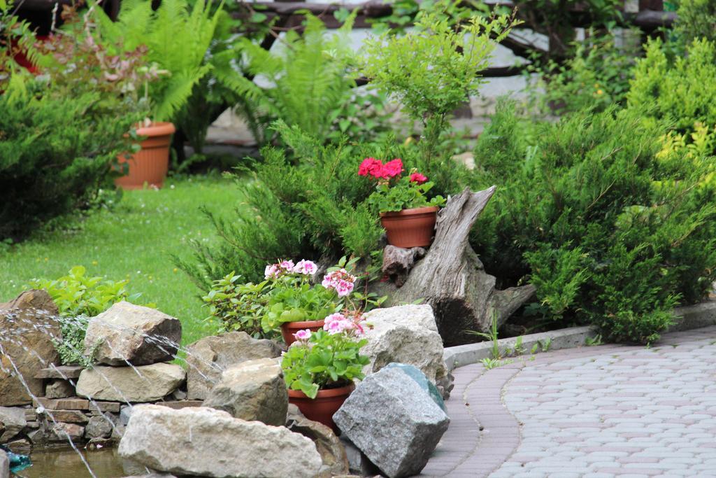 Eco Grill Hotel Restaurant Aquarius Lviv Extérieur photo